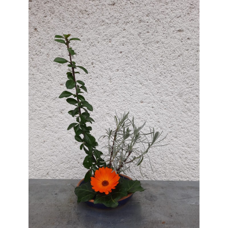 Ikebana